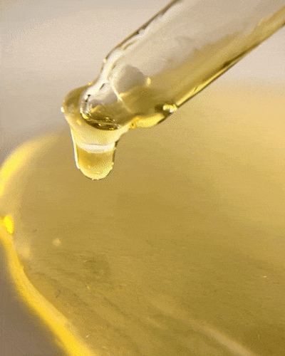 Golden belly oil liquid dripping